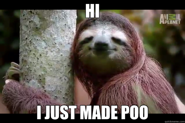 HI I JUST MADE POO  