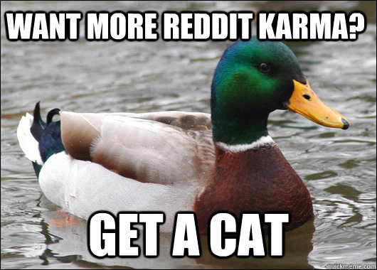 want more reddit karma? get a cat  Actual Advice Mallard
