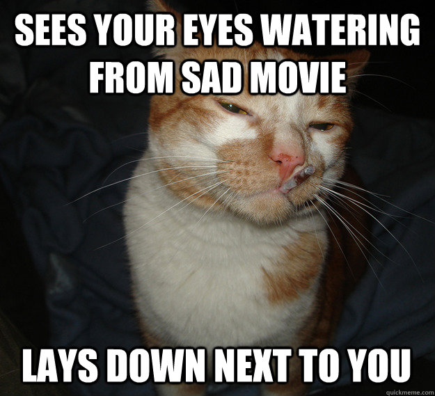Sees your eyes watering from sad movie Lays down next to you  Cool Cat Craig