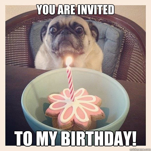 You are invited To my Birthday! - You are invited To my Birthday!  Scared birthday pug