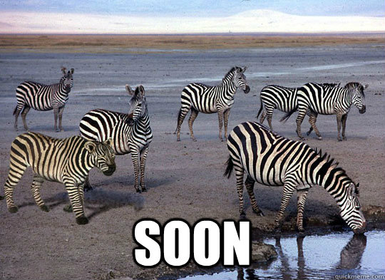  soon -  soon  Zebra Lion