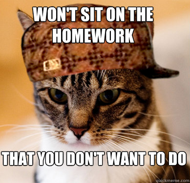 Won't sit on the homework That you don't want to do  Scumbag Cat