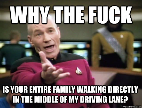 why the fuck is your entire family walking directly in the middle of my driving lane?  Annoyed Picard HD