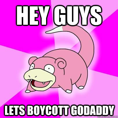 Hey guys lets boycott GoDaddy  Slowpoke
