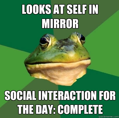 looks at self in mirror social interaction for the day: complete   Foul Bachelor Frog