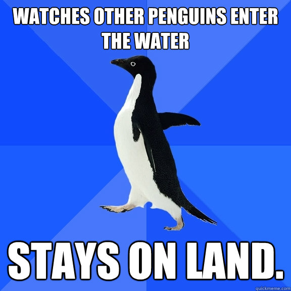 WATCHES OTHER PENGUINS ENTER THE WATER STAYS ON LAND. - WATCHES OTHER PENGUINS ENTER THE WATER STAYS ON LAND.  Socially Awkward Penguin