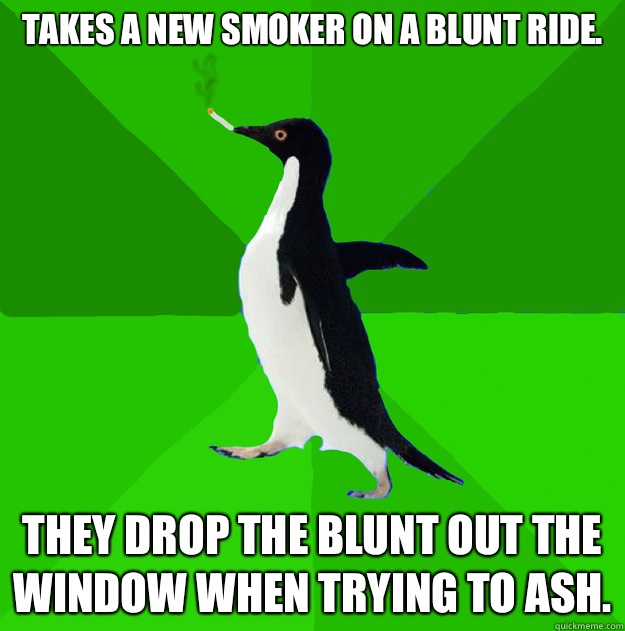 Takes a new smoker on a blunt ride.  They drop the blunt out the window when trying to ash.   Stoner Penguin