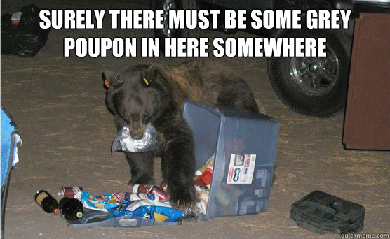 Surely there must be some grey poupon in here somewhere  - Surely there must be some grey poupon in here somewhere   Food Snob Bear