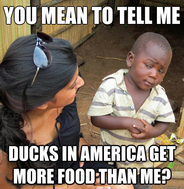 You mean to tell me Ducks in america get more food than me?  Skeptical Third World Baby