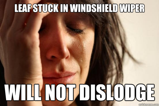 Leaf stuck in windshield wiper will not dislodge  First World Problems