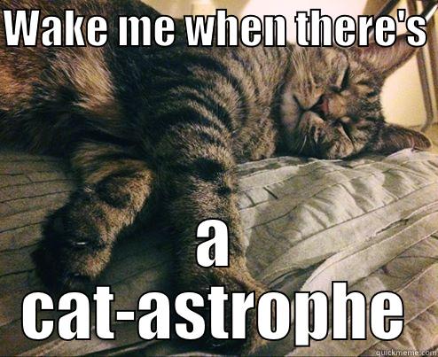 WAKE ME WHEN THERE'S  A CAT-ASTROPHE Misc