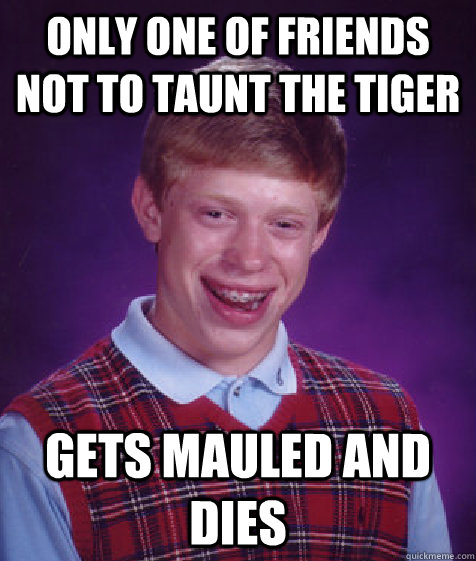 Only one of friends not to taunt the tiger Gets mauled and dies - Only one of friends not to taunt the tiger Gets mauled and dies  Bad Luck Brian