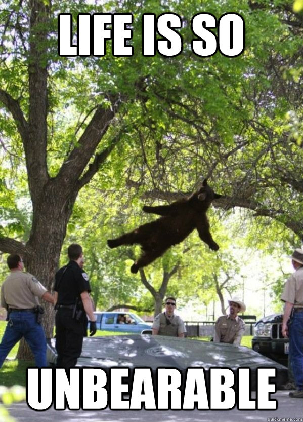 life is so unbearable  i am a falling bear