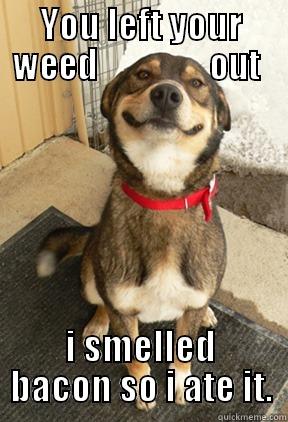 YOU LEFT YOUR WEED                 OUT  I SMELLED BACON SO I ATE IT. Good Dog Greg