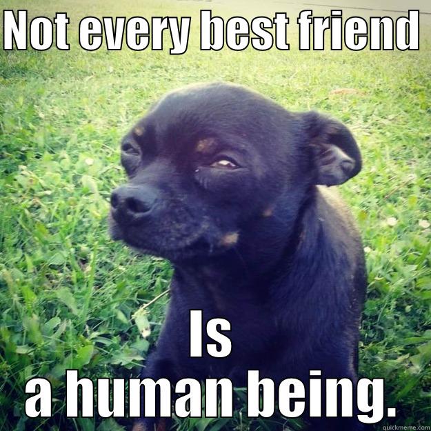 Not every best friend is human! - NOT EVERY BEST FRIEND  IS A HUMAN BEING. Skeptical Dog
