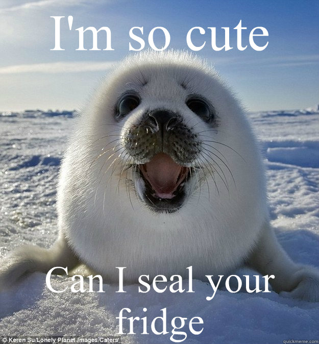 I'm so cute Can I seal your fridge  Easily Pleased Seal