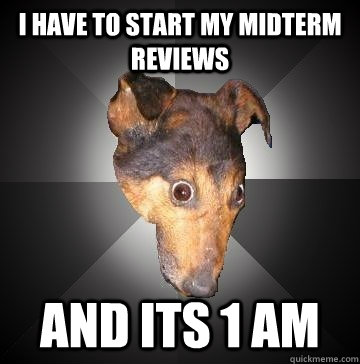 I HAVE TO START MY MIDTERM REVIEWS AND ITS 1 AM  Depression Dog