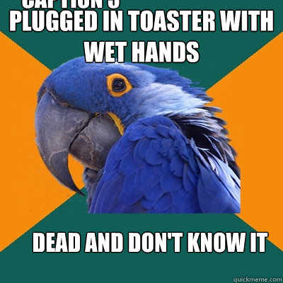 plugged in toaster with wet hands dead and don't know it Caption 3 goes here  Paranoid Parrot