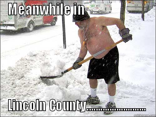 MEANWHILE IN                           LINCOLN COUNTY.......................... Misc