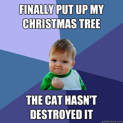 Finally put up my Christmas Tree the cat hasn't destroyed it - Finally put up my Christmas Tree the cat hasn't destroyed it  Success Kid