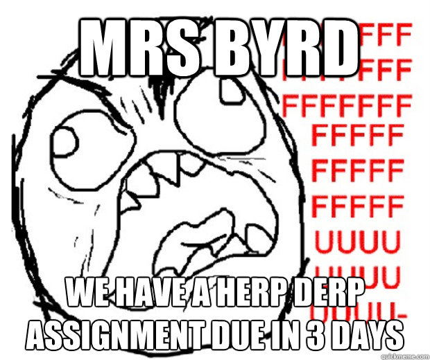 Mrs byrd We have a herp derp assignment due in 3 days  Rage Guy