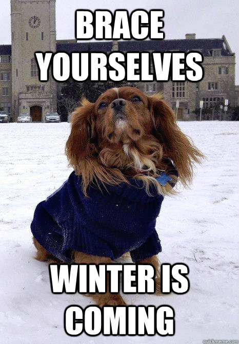 Brace yourselves Winter is coming - Brace yourselves Winter is coming  Winter is coming dog