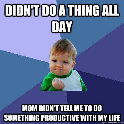 didn't do a thing all day mom didn't tell me to do something productive with my life   Success Kid