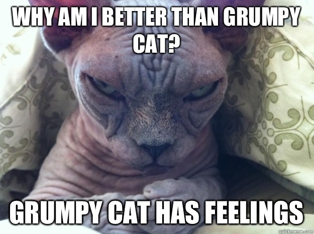 Why am I better than grumpy cat? Grumpy cat has feelings  