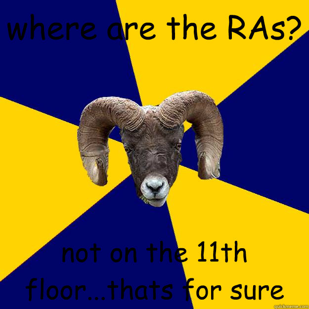 where are the RAs? not on the 11th floor...thats for sure
  Suffolk Kid Ram