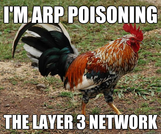 I'm arp poisoning the layer 3 network - I'm arp poisoning the layer 3 network  Red Team Rooster