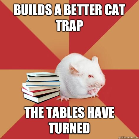 Builds a better cat trap The tables have turned - Builds a better cat trap The tables have turned  Science Major Mouse