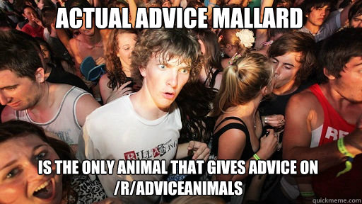 Actual advice mallard Is the only animal that gives advice on /r/adviceanimals  Sudden Clarity Clarence