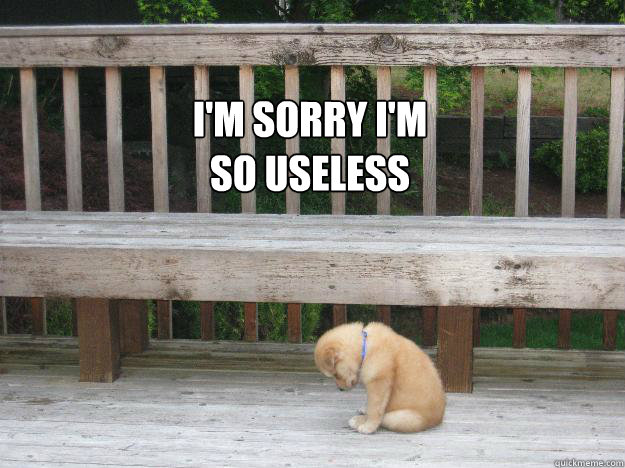 I'm sorry I'm 
so useless  - I'm sorry I'm 
so useless   Sorry