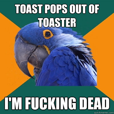 Toast pops out of toaster I'm fucking dead  Paranoid Parrot