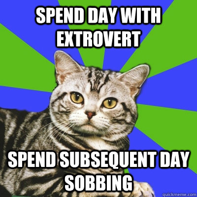 SPEND DAY WITH EXTROVERT SPEND SUBSEQUENT DAY SOBBING - SPEND DAY WITH EXTROVERT SPEND SUBSEQUENT DAY SOBBING  Introvert Cat