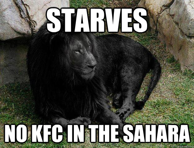 Starves No KFC in the sahara  Black Lion Problems
