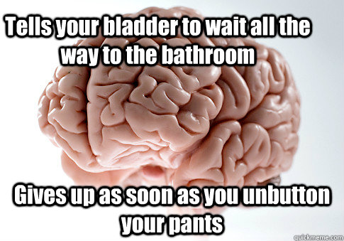 Tells your bladder to wait all the way to the bathroom Gives up as soon as you unbutton your pants  Scumbag Brain