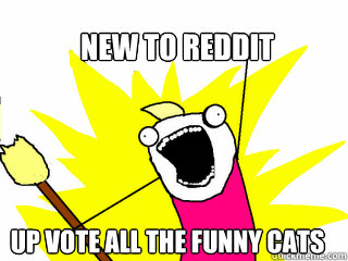 New to reddit up vote all the funny cats  All The Things