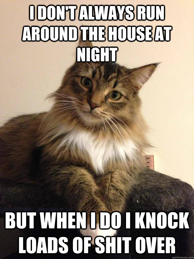 I don't always run around the house at night But when I do I knock loads of shit over  