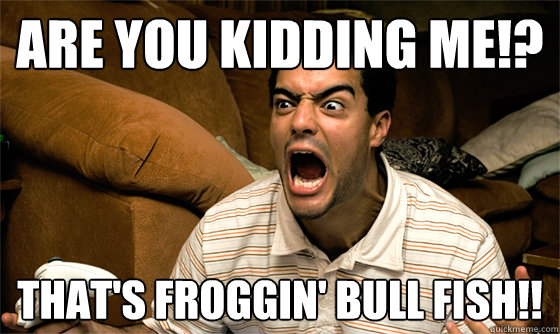 ARE YOU KIDDING ME!? THAT'S FROGGIN' BULL FISH!! - ARE YOU KIDDING ME!? THAT'S FROGGIN' BULL FISH!!  Misc