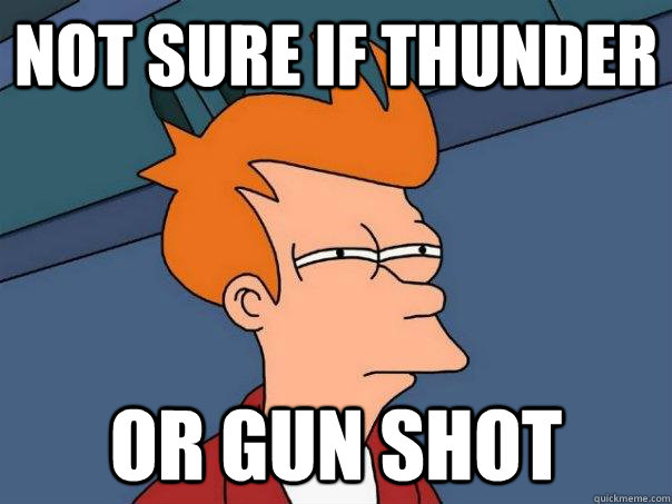 Not sure if thunder Or gun shot  Futurama Fry