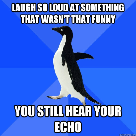 Laugh so loud at something that wasn't that funny You still hear your echo  Socially Awkward Penguin