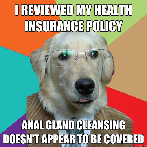 I reviewed my health insurance policy anal gland cleansing doesn't appear to be covered  Business Dog