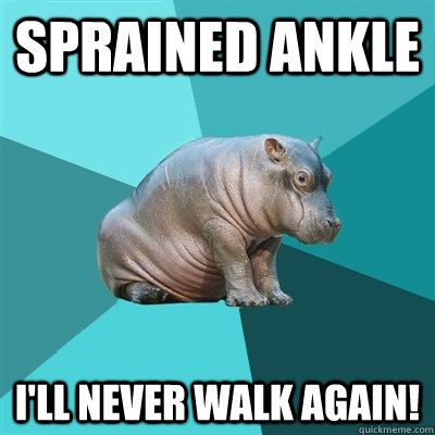 Sprained Ankle I'll never walk again!  
