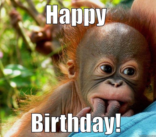 HAPPY BIRTHDAY! Misc