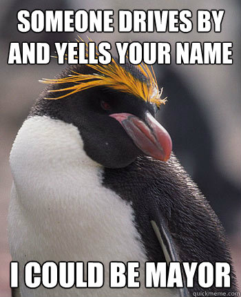 Someone drives by and yells your name I could be mayor  Socially Overconfident Penguin