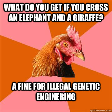 what do you get if you cross an elephant and a giraffe? A fine for illegal genetic enginering - what do you get if you cross an elephant and a giraffe? A fine for illegal genetic enginering  Anti-Joke Chicken