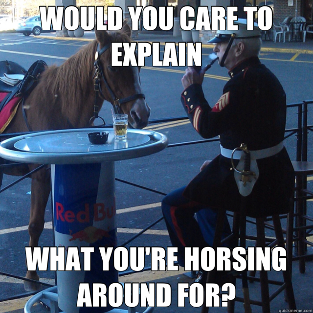 WOULD YOU CARE TO EXPLAIN WHAT YOU'RE HORSING AROUND FOR?  Disappointed Marine Sergeant