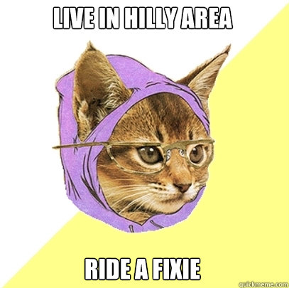 Live in hilly area Ride a fixie  Hipster Kitty