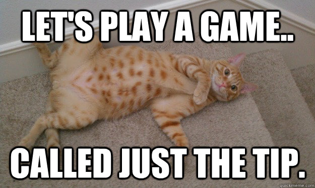 Let's play a game.. called just the tip. - Let's play a game.. called just the tip.  Just Touch It Cat